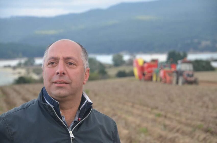  Patata della Sila IGP: la visione dell’azienda Scrivano